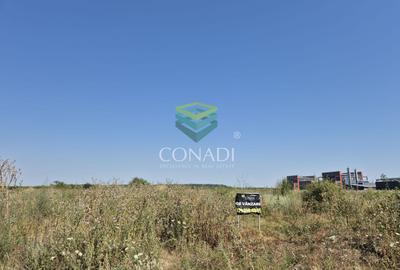 Teren de vanzare cu autorizatie pentru 2 hale - Otopeni - 10.000 mp - 15