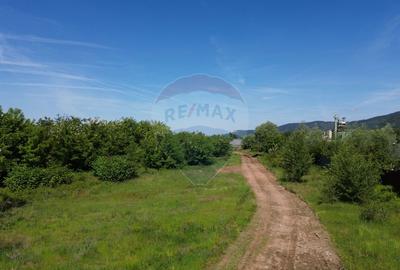 Teren Construcții intravilan de 11533 mp, în Merișor