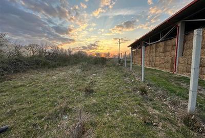 Bocsa Romana, 2 terenuri intravilan, 10.000 Mp.(59.900 Euro) si arabil, 80.000 M - 4