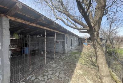 Mitreni-Valea Rosie-Acasa la Tara -4 camere-178 mp-LOT  1000 mp+Casa secundara - 48