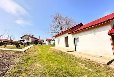 Domeniul de langa Fetesti, Maltezi, ideal pentru evenimente - 17