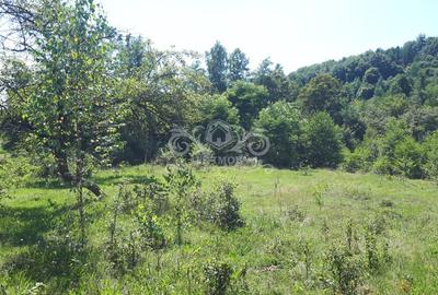 Teren cu livada de vanzare in Albesti de Muscel - 4