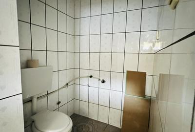 Casa 3 camere + apartament, la cheie - Zona Plopi Timisoara - 8