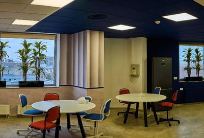 Nova Coworking Stirbei | Ultra Central | 20 Birouri Private | Modern | - 3