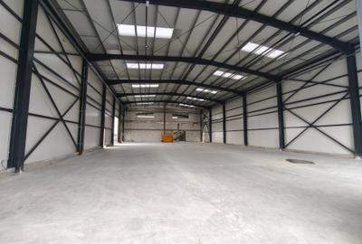 Spațiu industrial, 942 mp în Ghiroda