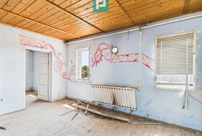 Pensiune în Geoagiu-Băi pe malul râului Mureș - 14