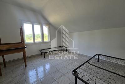 Casa de vanzare, potential pensiune, pe malul Timisului,Sag,comision 0 - 10