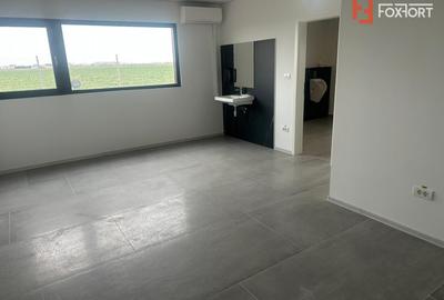 Hala industriala 500 mp + birouri, 1398 mp teren, acces TIR - Giarmata Vii - 9