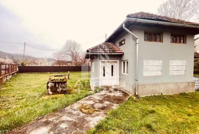 Casa potential turistic si comercial -zona Varfurile - 21