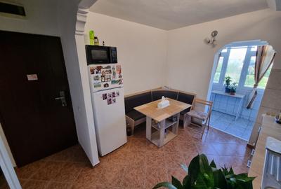 Apartament 2 camere zona Palas - 5