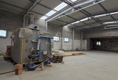 Teren + hale industriale 8785mp + casă–Oportunitate investiție / producție – - 20