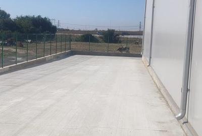 Hala noua 400 mp Bragadiru (Centura AO ) - 7