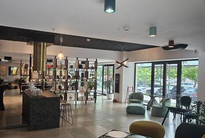 SPAȚIU COMERCIAL DEOSEBIT LA PARTER, 145 MP, ZONĂ ULTRACENTRALĂ – PIAȚA UNIRII, - 9