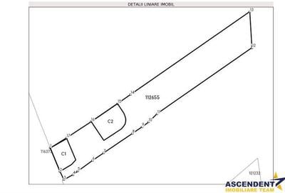 Cocheta casa renovata+vila spatioasa, domeniu de 1.500mp,Sanpetru,Brasov - 10