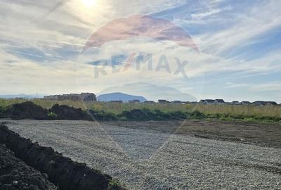 Teren Sanpetru, str Armoniei, 539mp, cu proiect casa si avize in lucru - 20