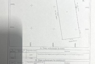 Proprietar vând teren intravilan în satul Runcu comuna  Dascalu - 4