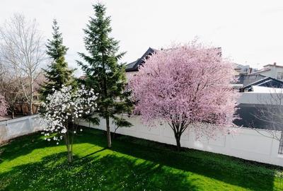 Vilă individuală premium în Pipera 7 camere complet renovata - 10