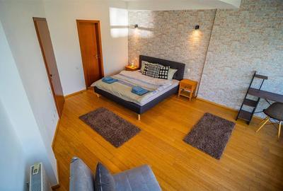 Apartament 2 camere, inchiriere lunga durata, Herastrau - 11