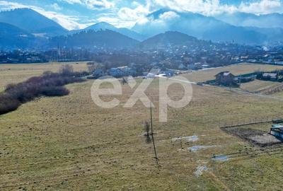 Teren 3.120 mp cu potențial de dezvoltare – Săcele | Posibilitate PUZ - 17