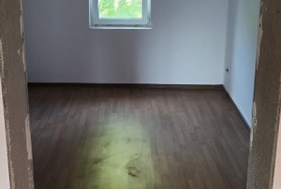 Casa+ casa batraneasca Surupate(Comuna Francesti, Valcea) - 14