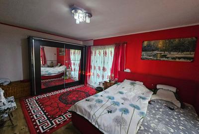 Casa Orastie - 6