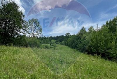 Teren 6,865mp Voroneț / Gura Humorului / Bucovina - 19