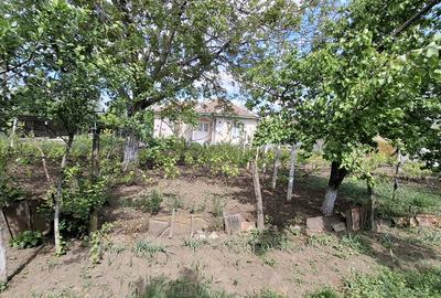 Casa paianta locuibila. Teren 1772 mp, desch. 30 ml. Asfalt, curent, apa, canal. - 27