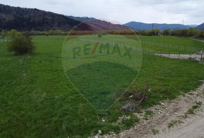 Teren 3,157mp Gura Humorului / Aleea Maftei - 10