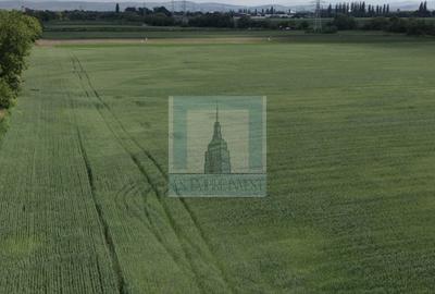 Teren intravilan 50000 mp, cu PUZ, Aprobat - zona Halchiu/Codlea - 7
