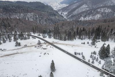 Teren premium pentru dezvoltare de lux – Drumul Poienii, Brasov - 31