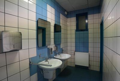 Inchiriere Spatiu Comercial 395 mp P+E Palas Campus Trafic Intens - 10