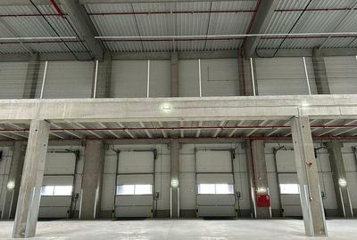 Spațiu Industrial Eficient – Toate Utilitățile, Gata de Activitate! - 3