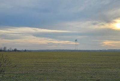 Comision 0% | Teren  30 hectare | Bucuresti -> A1 -> km 34 | Front stradal 580 m - 6