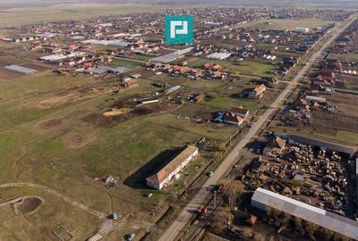 Hală industrială cu teren generos în Zărand, Arad - 26