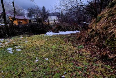 Teren intravilan Simon/Bran, 4318 mp , casuta intabulata, utilitati - 35