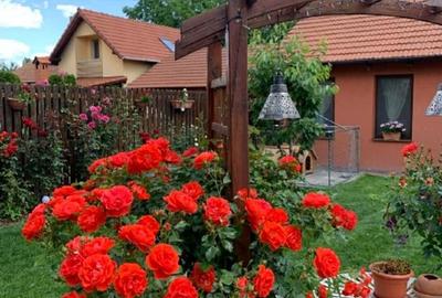 Proprietate exclusivista cu design rafinat si facilitati premium—Sfantu Gheorghe - 16