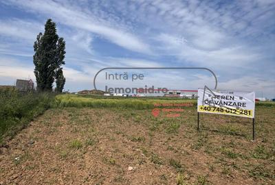 Teren intravilan | 4.900 mp | Depozit Profi | Acces drum betonat - 5