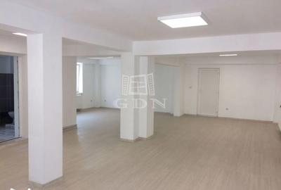 Închiriere casă integral sau parțial (parter, etaj), Calea Aradului - 19