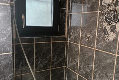 Apartament 2 camere, decomandat,  Deva, bulevardul Decebal (prețul e negociabil) - 13