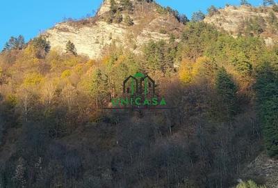 Bloc de apartamente - Brezoi - 10