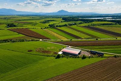 FILM! 18.000 mp, extravilan, agricol+ constructii:ferma,investitii agricole, Rot - 4