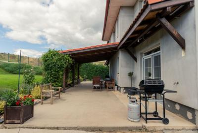 Casa de vanzare în Câmpenești - 18