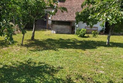 Casă spațioasă de vânzare in Nădlac - 6