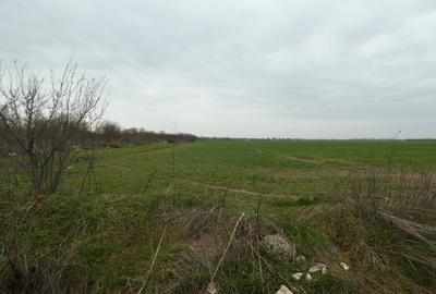 Teren 10.000 mp Butimanu in spatele caselor - 3