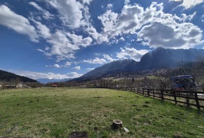 Teren superb intravilan 1200 mp, Plaiul Foii, vedere la munte - 1