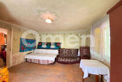 Casa de vanzare in Berinta de 50 mp cu anexa si 22 de ari teren - 7