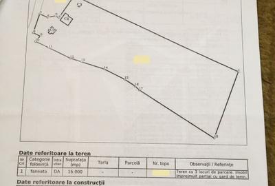 1.6 ha de padure cu poienita, parau la limita curtii, cabana pentru trei familii - 20