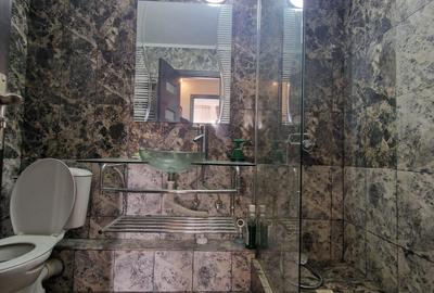 Lacul Tei -  Ripiceni - Apartament 2 camere - renovat - mobilat si utilat modern - 11