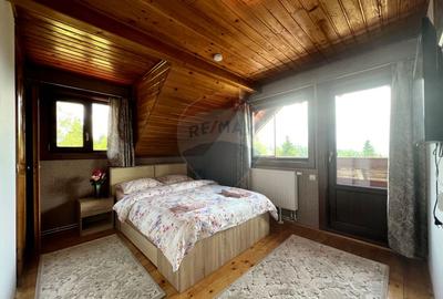 Casă de vacanță, de vânzare, pretabilă locuință sau afacere hotelieră - 13
