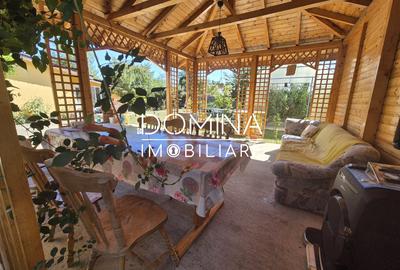 Vanzare casa P+1 cu teren de 769 mp si facilitati complete, str. Șisesti - 9
